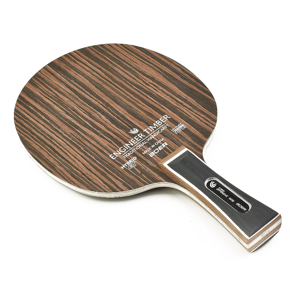 Table Tennis Defense - Raqueta de Ping Pong con mango