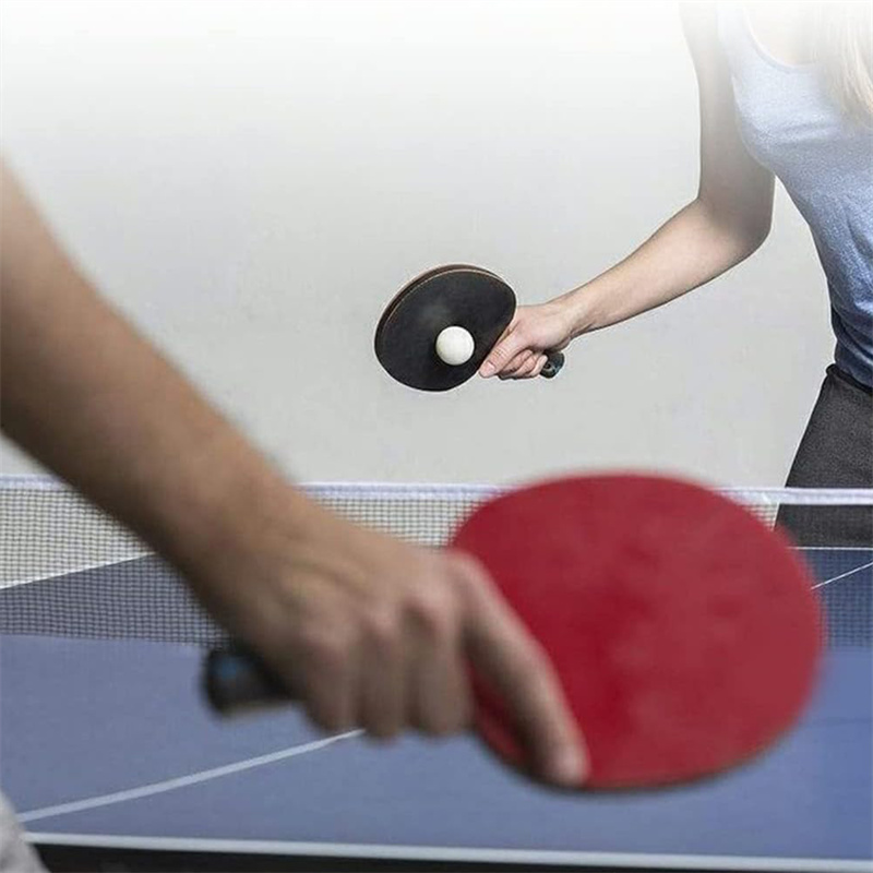 Red de tenis de mesa portátil, - Table Tennis Online reseña y precio